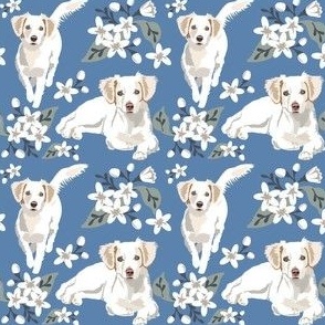 Spaniel Dog Floral Denim Kokoni Puppy  Small Print Dog fabric