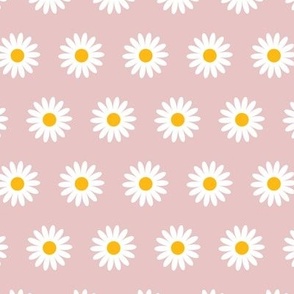 Daisies on Pink, Small Daisies, Flowers, Floral 