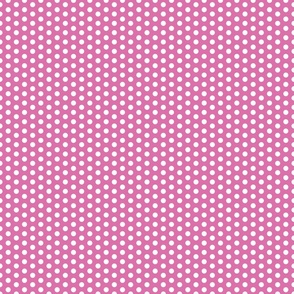 Medium Polka Dot (Rose & White)