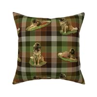 Leonberger Tartan - large