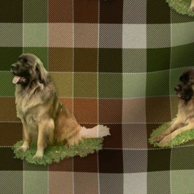 Leonberger Tartan - large