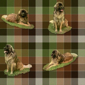 Leonberger Tartan - large