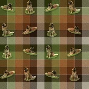 Leonberger Tartan - small