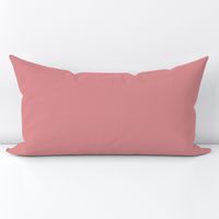 Pink Buff 1285 de9192 Solid Color Benjamin Moore Classic Colours