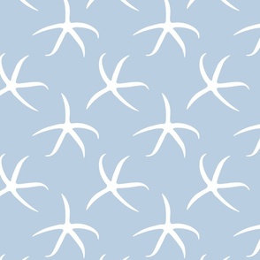 starfish on blue