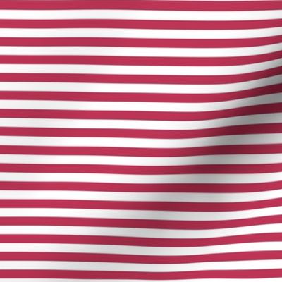 2023 viva magenta stripes horizontal - pantone color of the year