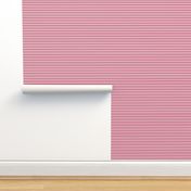 2023 viva magenta stripes horizontal - pantone color of the year