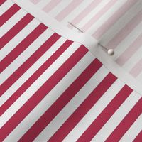 2023 viva magenta stripes horizontal - pantone color of the year