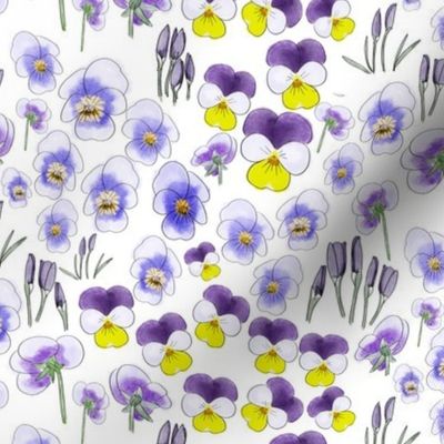 ink_paint violas