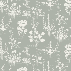 BOTANICAL SILHOUETTES - LINEN ON OYSTER BAY SW6206