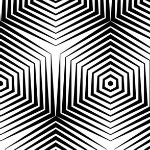 Op Art Hexagon Stripes in Black on White