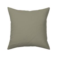 Sage Mountain 1488 969280 Solid Color Benjamin Moore Classic Colours