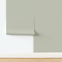 Vale Mist 1494 c8c9b8 Solid Color Benjamin Moore Classic Colours