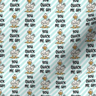 Small-Medium Scale You Quack Me Up Silly Ducks Soft Blue Stripes