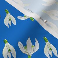 Snowdrop flowers in diagonal stripes on blue very small