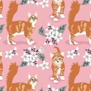 small scale // Orange cats white blossom floral pink small print cat kitten fabric