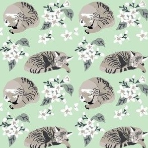 Two gray cats asleep on a mint  green and white floral