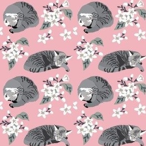 Two gray cats asleep on a pink and white floral
