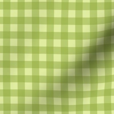 Coordinating Vintage Spring Gingham - Green - Small