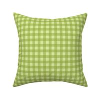 Coordinating Vintage Spring Gingham - Green - Small