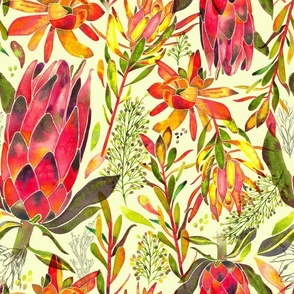 Wild flower protea and native botanicals on light green 
