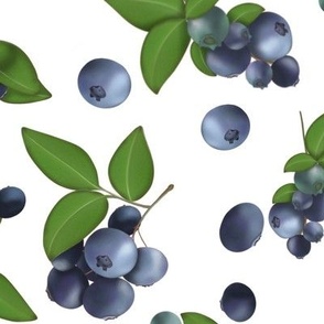 Blueberry