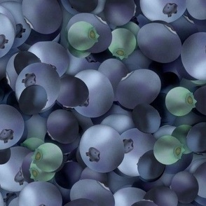 Blueberries on a rich blue background