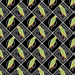 Parakeet, Bird, Diamond, Tropical, Green, Yellow, Zigzag, Tropical, Perch Chevron, Black, Vacation, Pet—Small, v05_1050