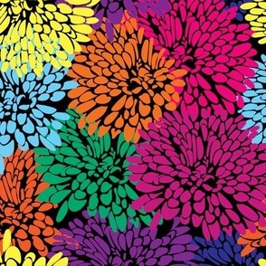 multi color chrysanthemum petals on black