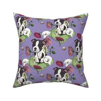 Boston Terrier Puppy Posie with flowers and bees on purple - custom colorway