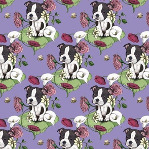 Boston Terrier Puppy Posie with flowers and bees on purple - custom colorway