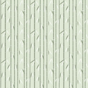 (S) Bamboo forest neutral green colors