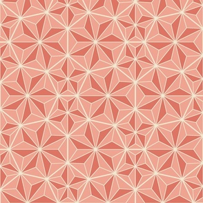 (M) Origami Coral 12x10 LeonardosCompass 14425642