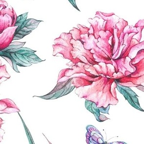 Pink peonies on white, big scale