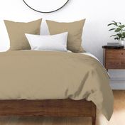 Huntington Beige HC-21 bba988 Solid Color Benjamin Moore Historical Colours