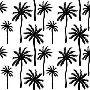 Black and white palm trees