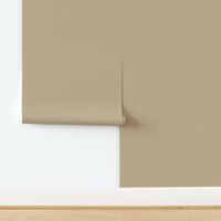 Lenox Tan HC-44 c3af8f Solid Color Benjamin Moore Historical Colours