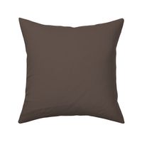 Branchport Brown HC-72 61524b Solid Color Historical Colours