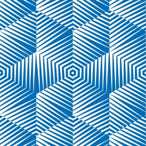Op Art Hexagon Striped Star in White on Blue