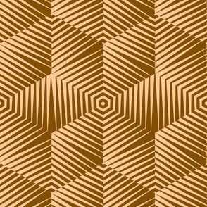 Op Art Hexagon Striped Star in Beige and Brown