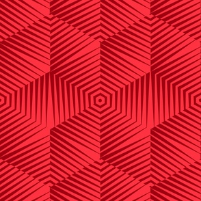 Op Art Hexagon Striped Star in Reds