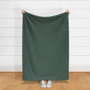 Lafayette Green HC-135 496156 Solid Color Historical Colours