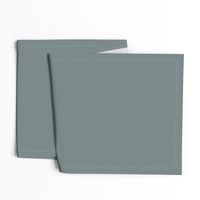 Templeton Gray HC-161 788787 Solid Color Historical Colours