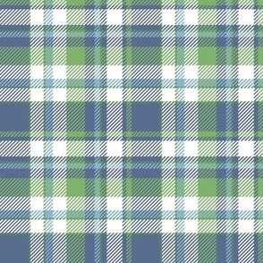 Blue, Green and White Plaid Check 4in