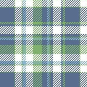 Green, Blue and White Plaid Check