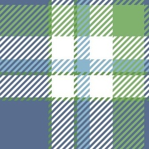 Blue, Green and White Check Plaid