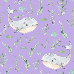 Whale Lilac