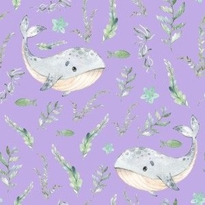 Small Scale Whale Lilac