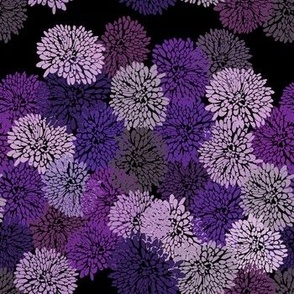 multi purples chrysanthemum petals on black repeat