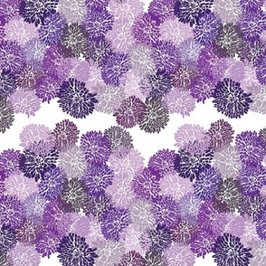 multi purples chrysanthemum petals on white repeat